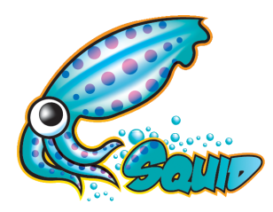 squid_proxy_logo